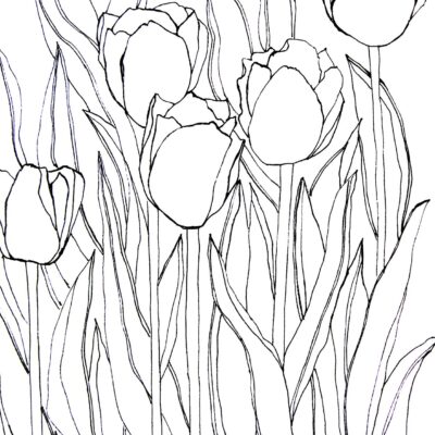 Tulip Sketch Pattern