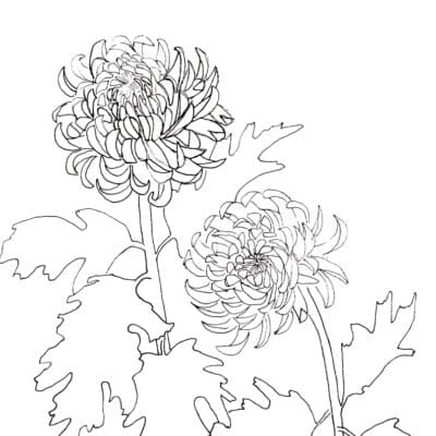 Mum Pattern test purchase