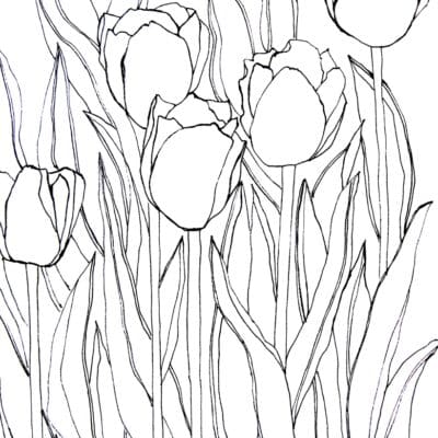 Tulip- Pattern Downloadable